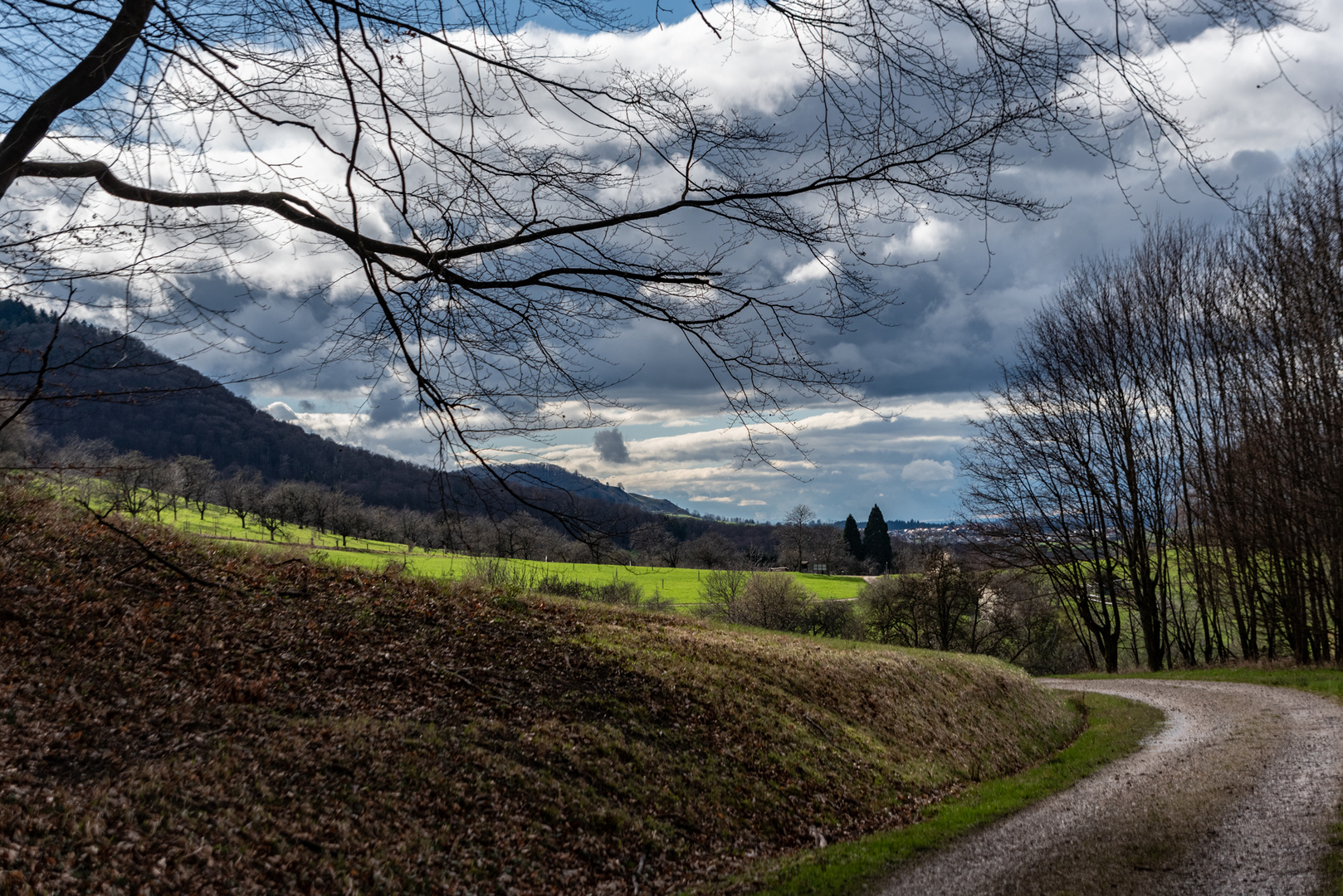 Die grüne Wiese