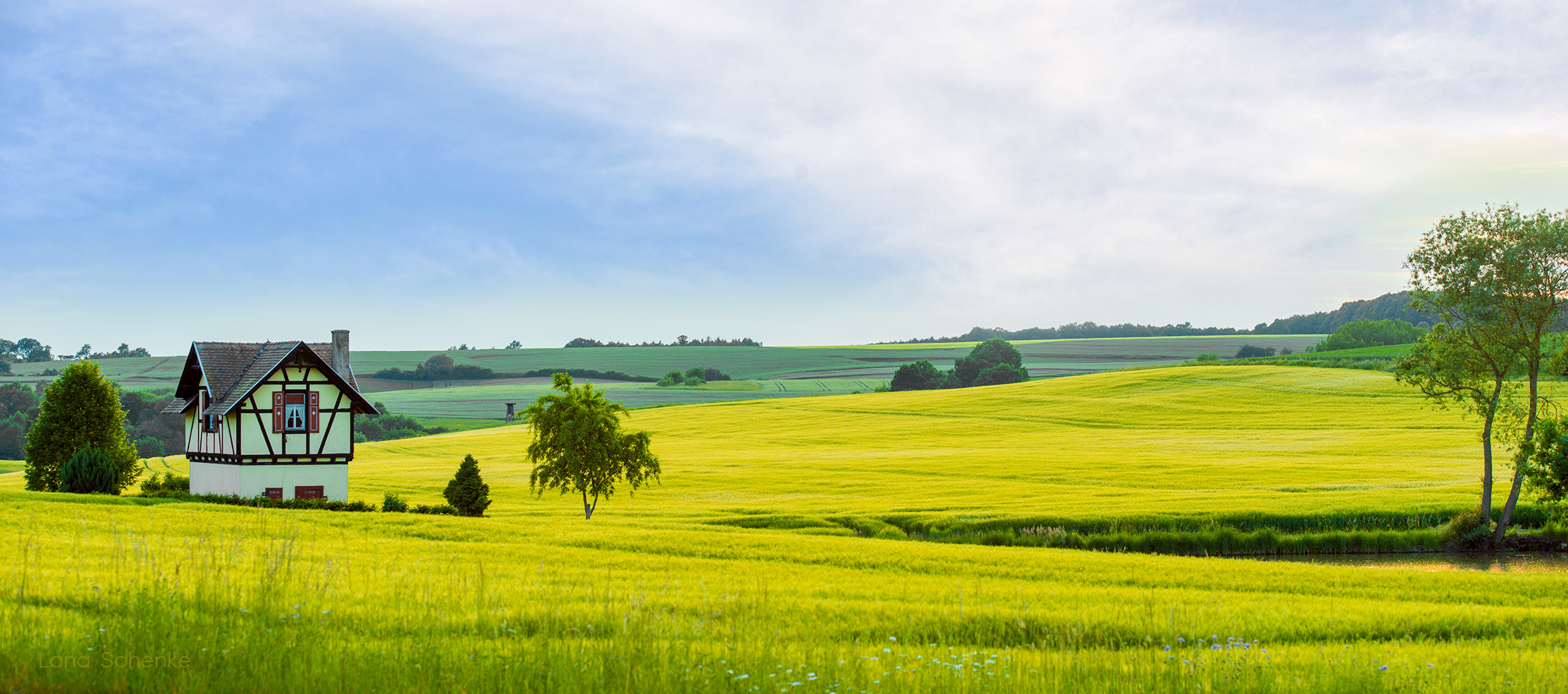 Die Grüne Wiese im Frühling Foto &amp; Bild | baum, wiese, himmel Bilder ...