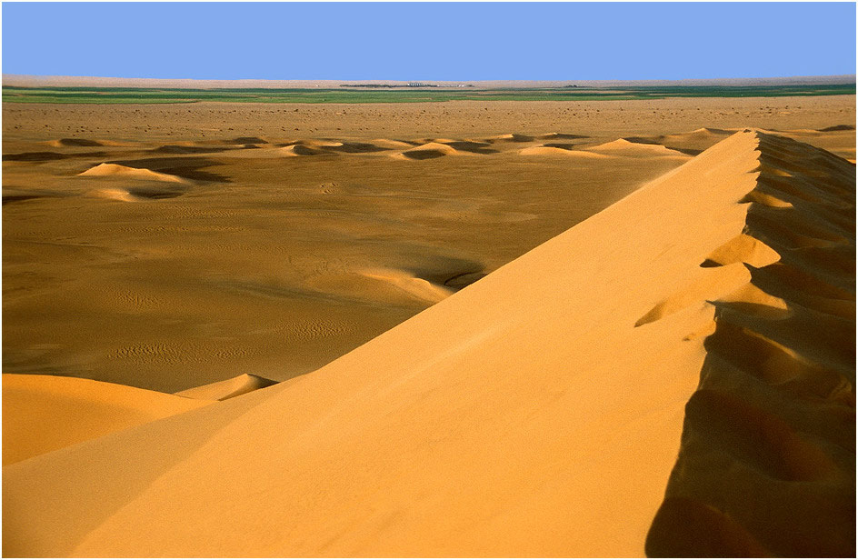 Die grünen Kreise von Berjouj am Rande des Sandmeers von Murzuk