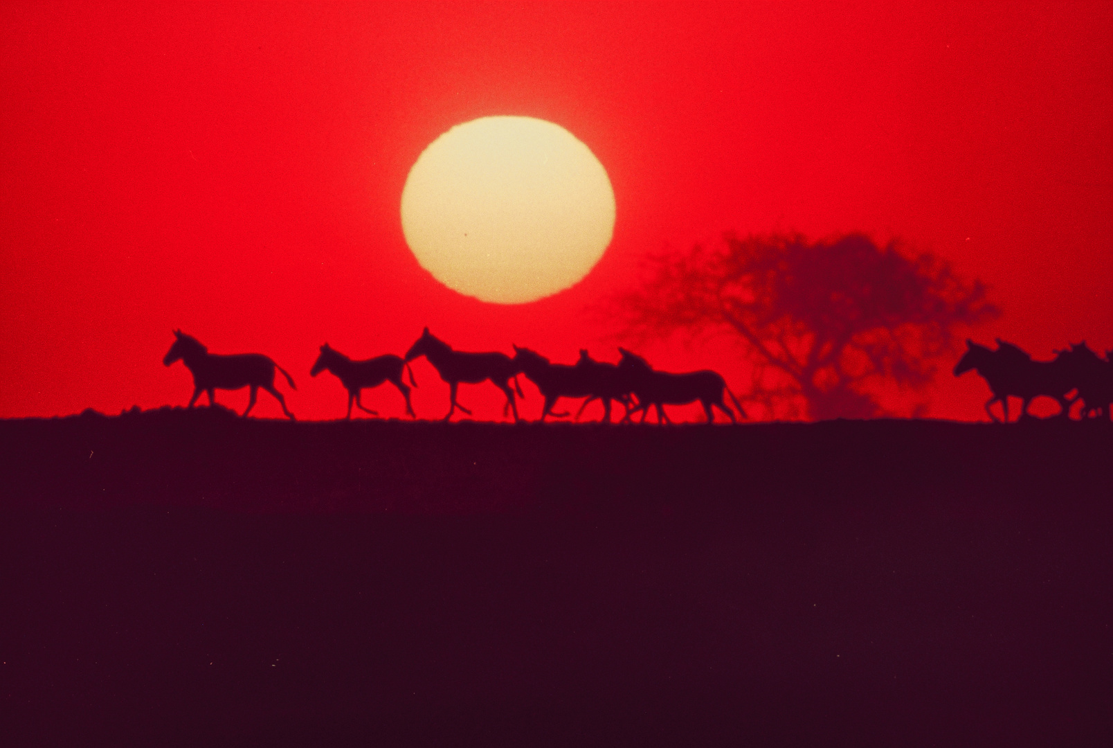 Die güldene Sonne ... Foto &amp; Bild | fotos, world, sonne Bilder auf ...