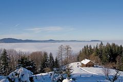 "Die Gupfalm über dem Nebelmeer von Weyregg"