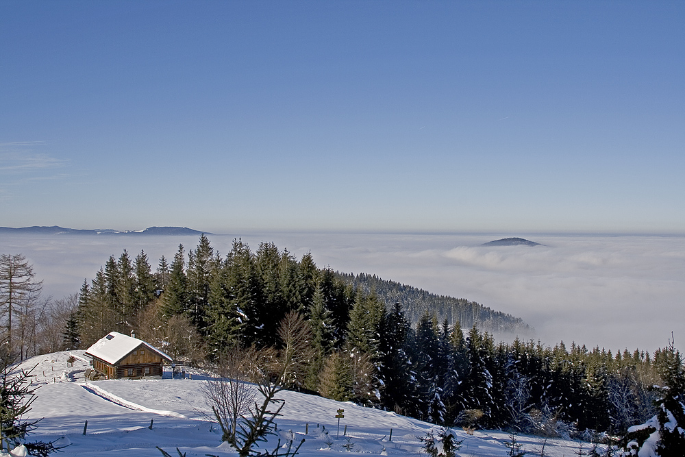 "Die Gupfalm über dem Nebelmeer von Weyregg" - Nr. 2