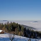 "Die Gupfalm über dem Nebelmeer von Weyregg" - Nr. 2