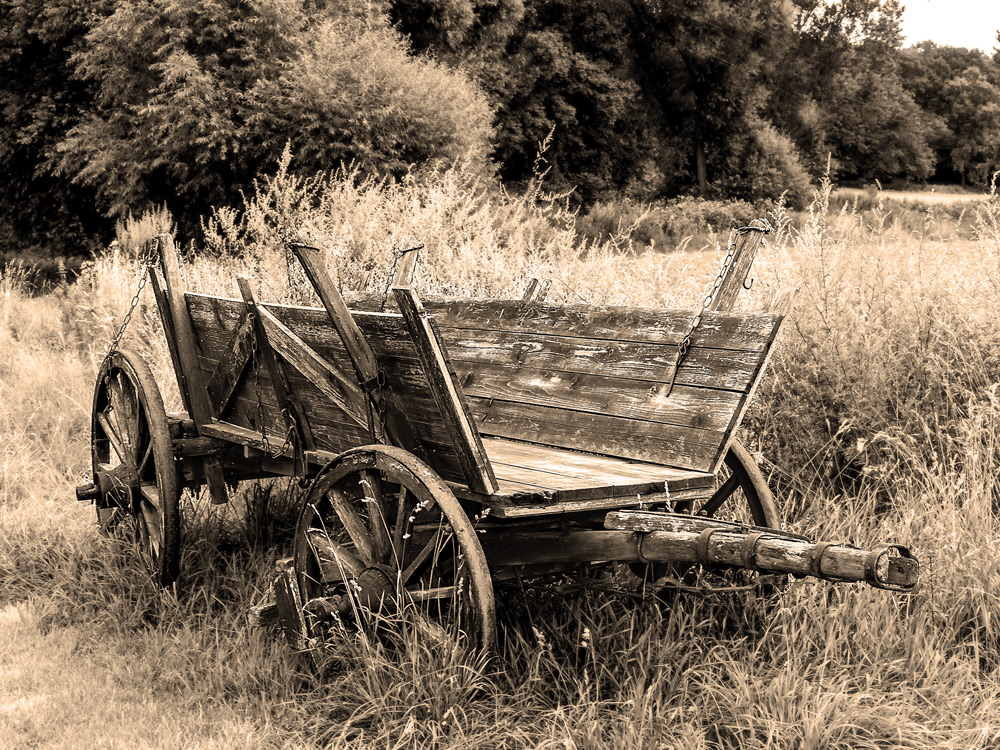 die gute alte Zeit Foto & Bild felder, holz, sepia Bilder auf