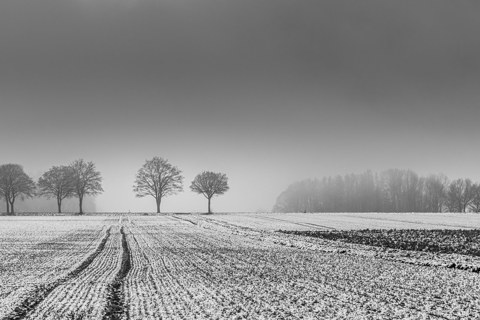 Die Haar nach leichtem Schneefall