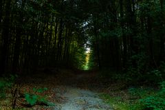 Die Haard Oer-Erkenschwick