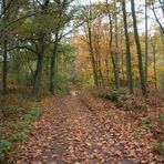 Die Haard Stimberg- und Jammertalroute 03