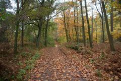 Die Haard Stimberg- und Jammertalroute 03