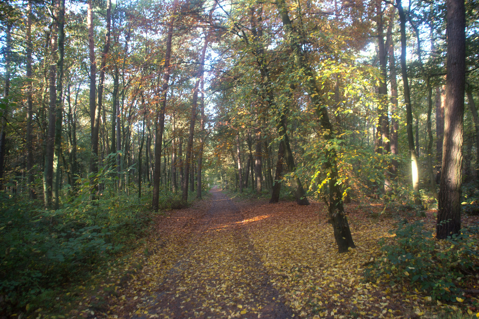 Die Haard Stimberg- und Jammertalroute 05