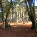 Die Haard Stimberg- und Jammertalroute 06