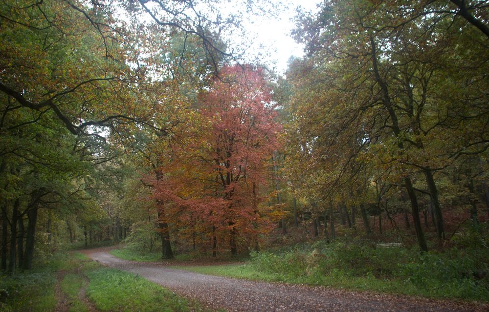 Die Haard Stimberg- und Jammertalroute 08