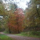 Die Haard Stimberg- und Jammertalroute 08