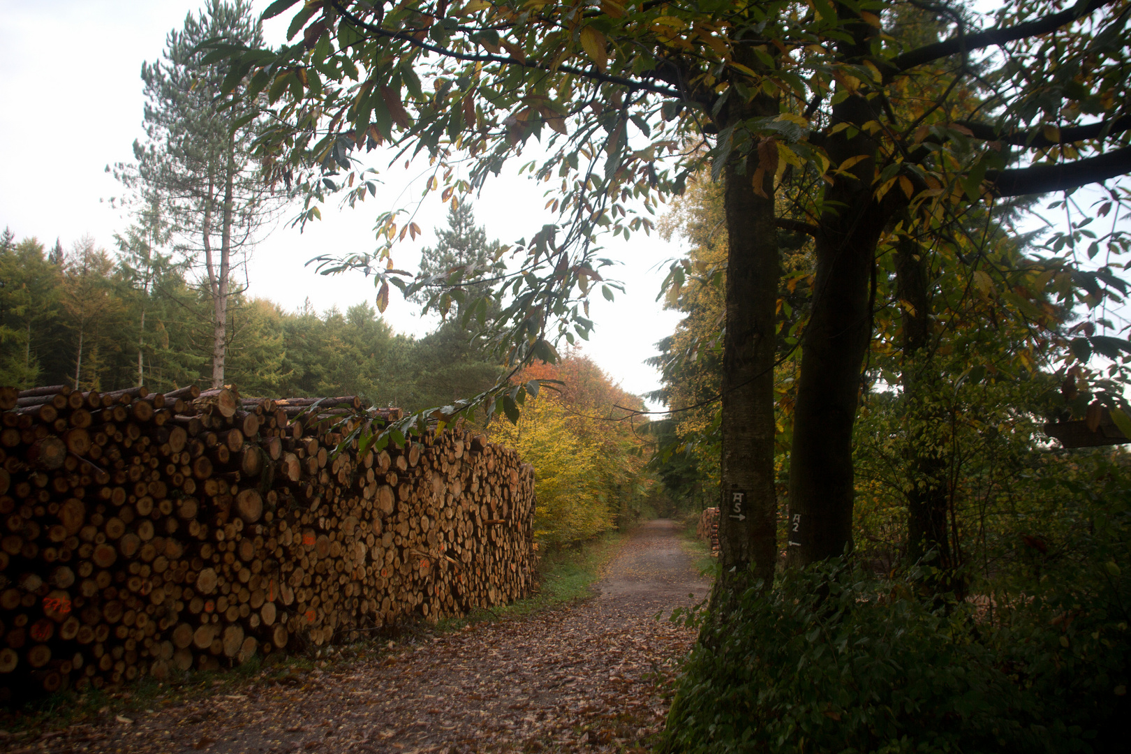 Die Haard Stimberg- und Jammertalroute 09