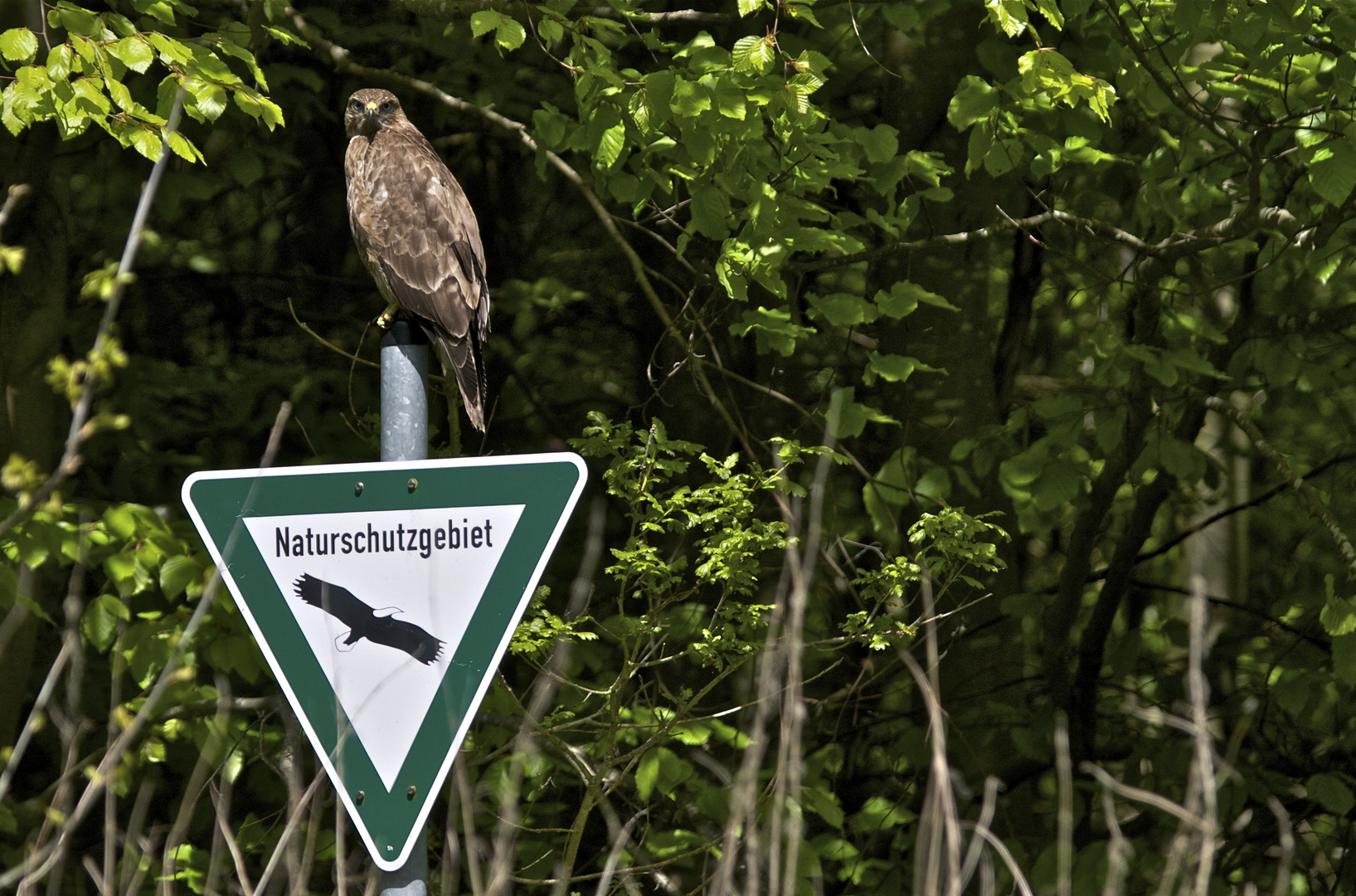 Die haben gesagt: hier sind wir sicher!