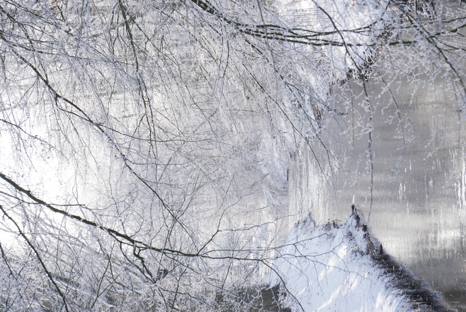 Die Hache in Sudweyhe im Winter