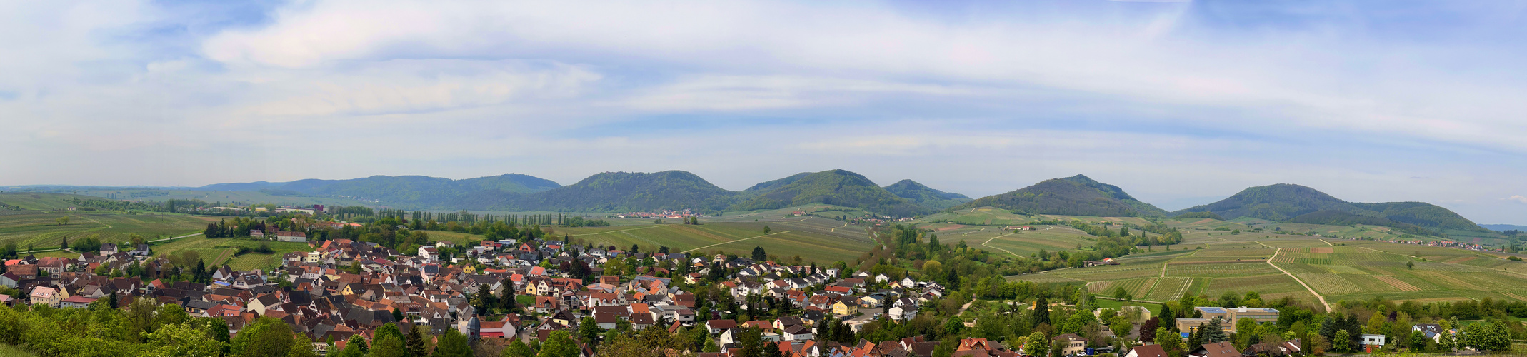 Die Hänge der südlichen Weinstrasse ...