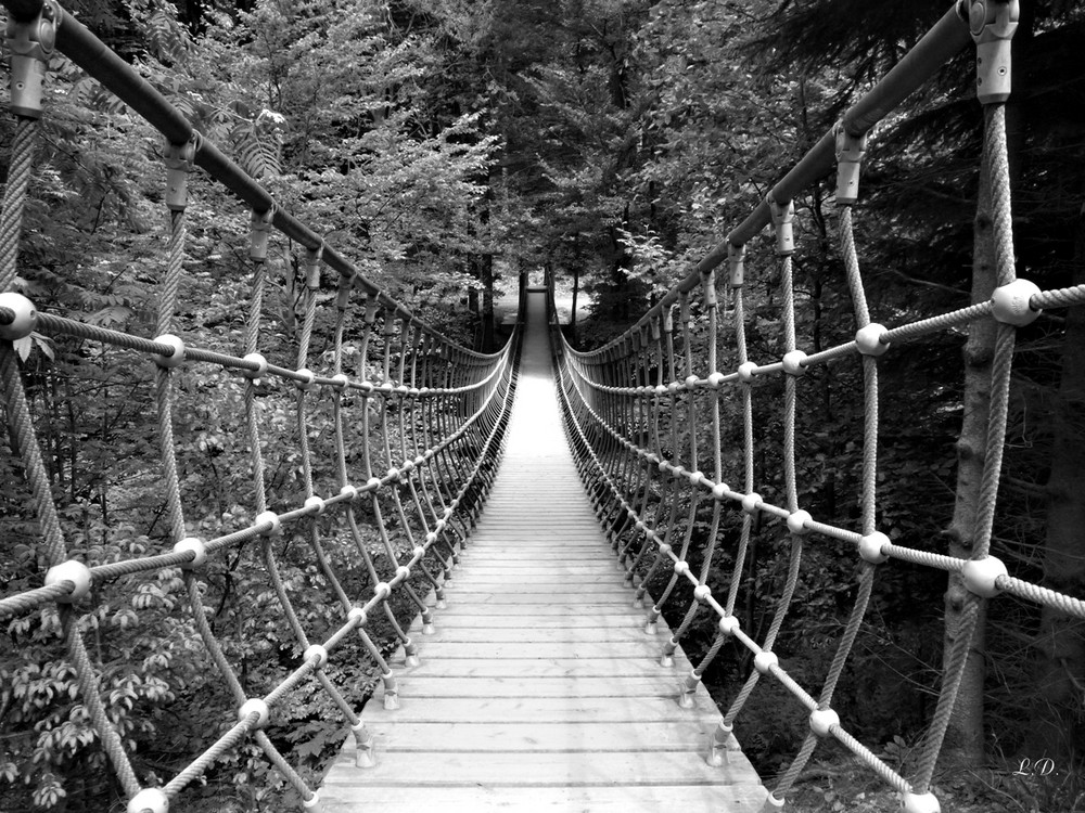 Die Hängebrücke bei Kühhude