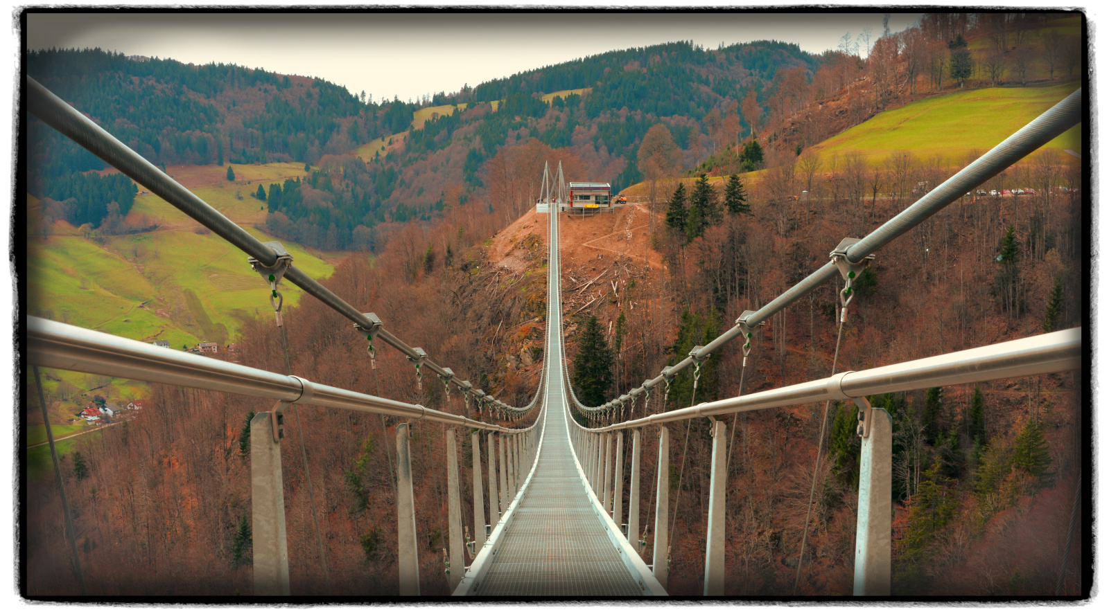 Die Hängebrücke "BlackForest Line" in Todtnau