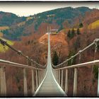 Die Hängebrücke "BlackForest Line" in Todtnau