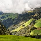 Die hängenden Gärten von Babylon - die "überhängenden" Weiden in den Alpen