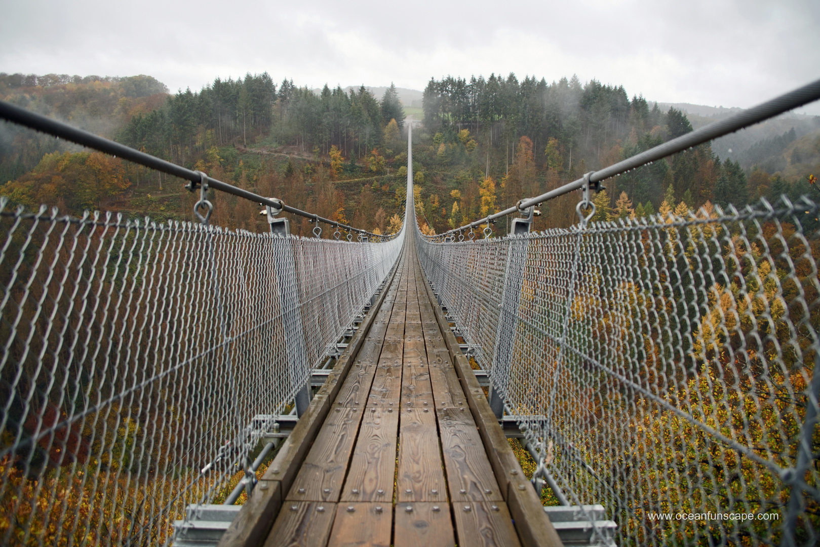 Die Hängeseilbrücke Geierlay...