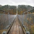 Die Hängeseilbrücke Geierlay...