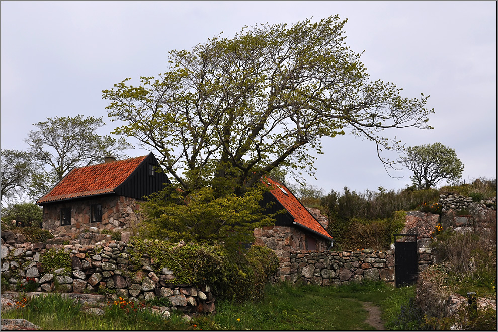 Die Häuser von Christiansø