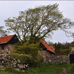 Die Häuser von Christiansø