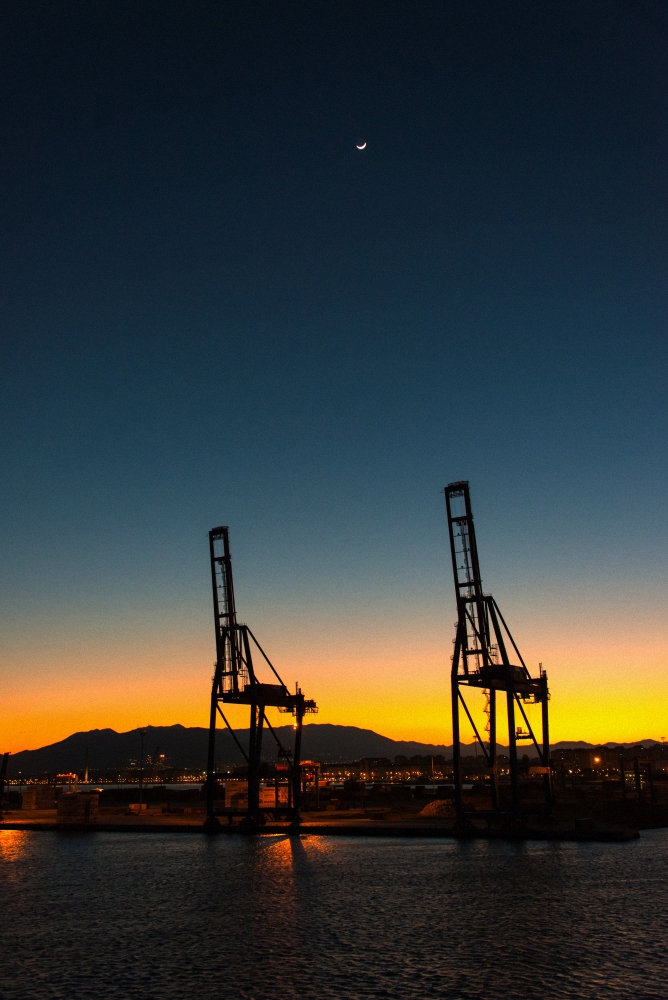 Die Hafen - Giraffen von Malaga