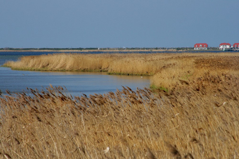 Die Hafflandschaft....