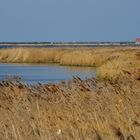 Die Hafflandschaft....