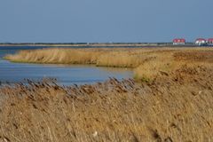 Die Hafflandschaft....