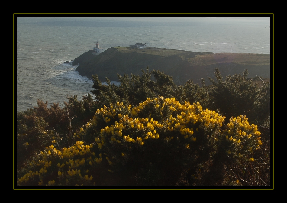 Die Halbinsel Howth im Winter