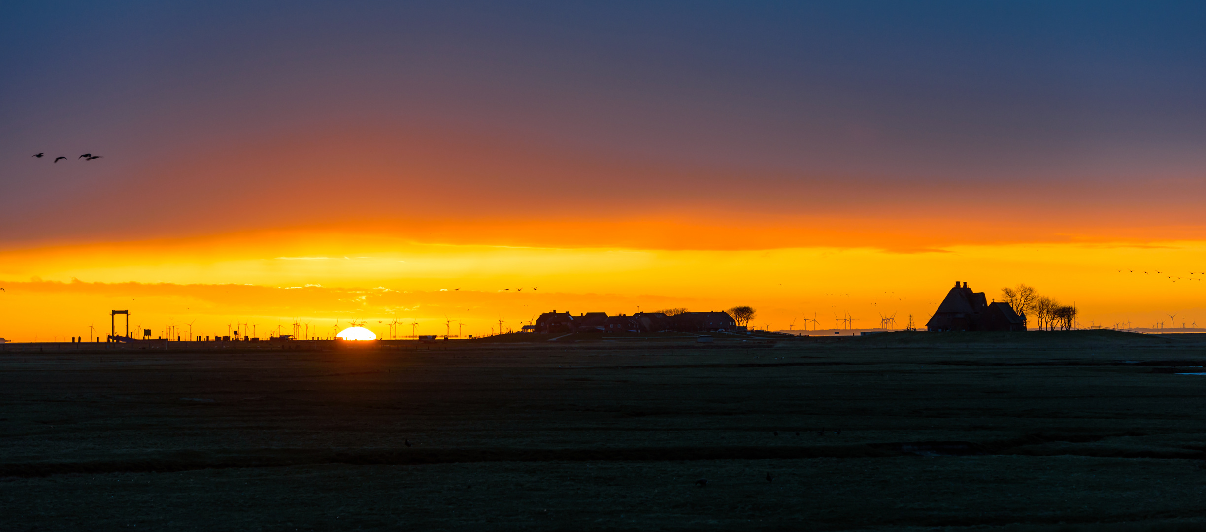 Die Hallig im Morgenlicht