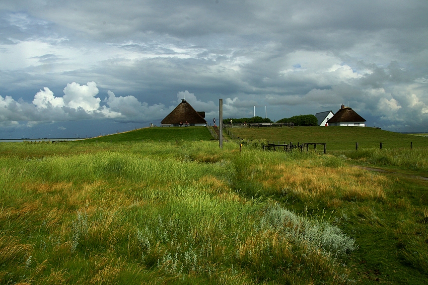 Die Hamburger Hallig