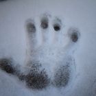 Die Hand im Schnee