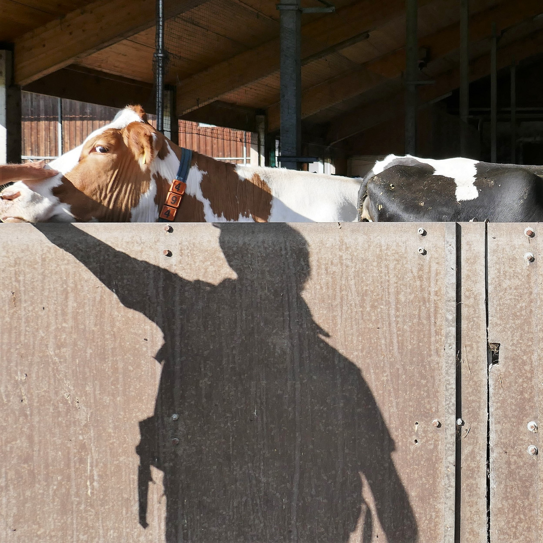 Die Hand und ihr Schatten