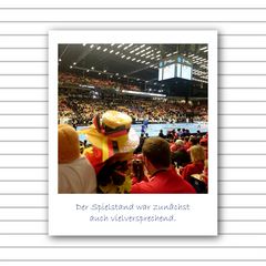 Die Handball-WM - Seite 15