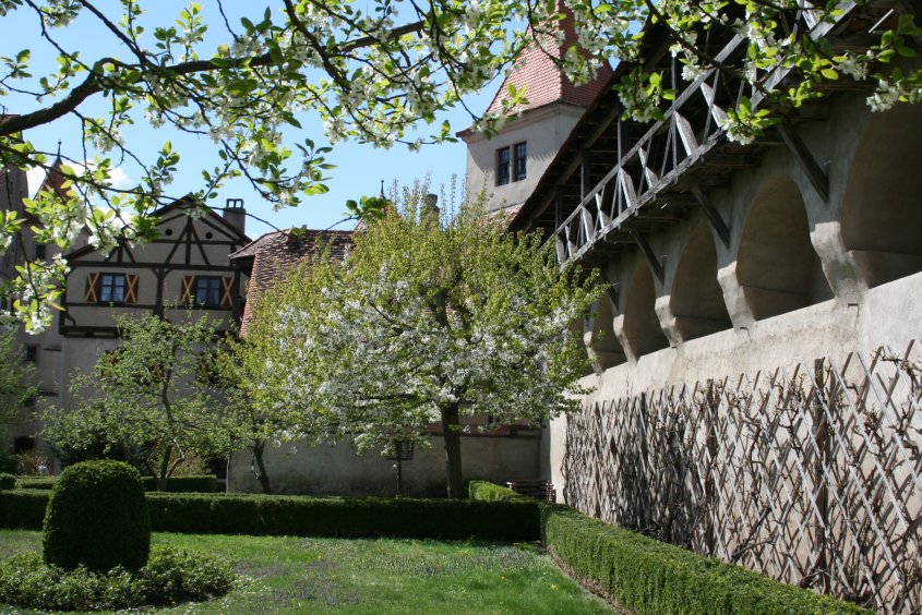 Die Harburg im Frühling