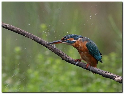 Die Hard - Duro a Morire