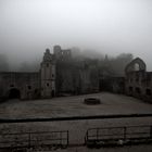 Die Hardenburg im Nebel