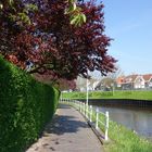 Die Harlepromenade im Nordseebad Carolinensiel