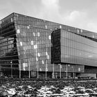 Die Harpa 