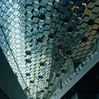 die Harpa II