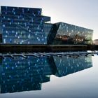 Die Harpa- Konzerthaus in Reykjavik