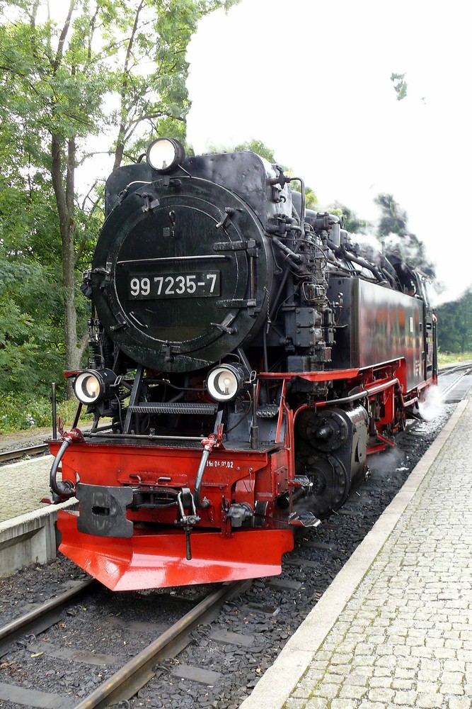 Die Harz-Schmalspurbahn