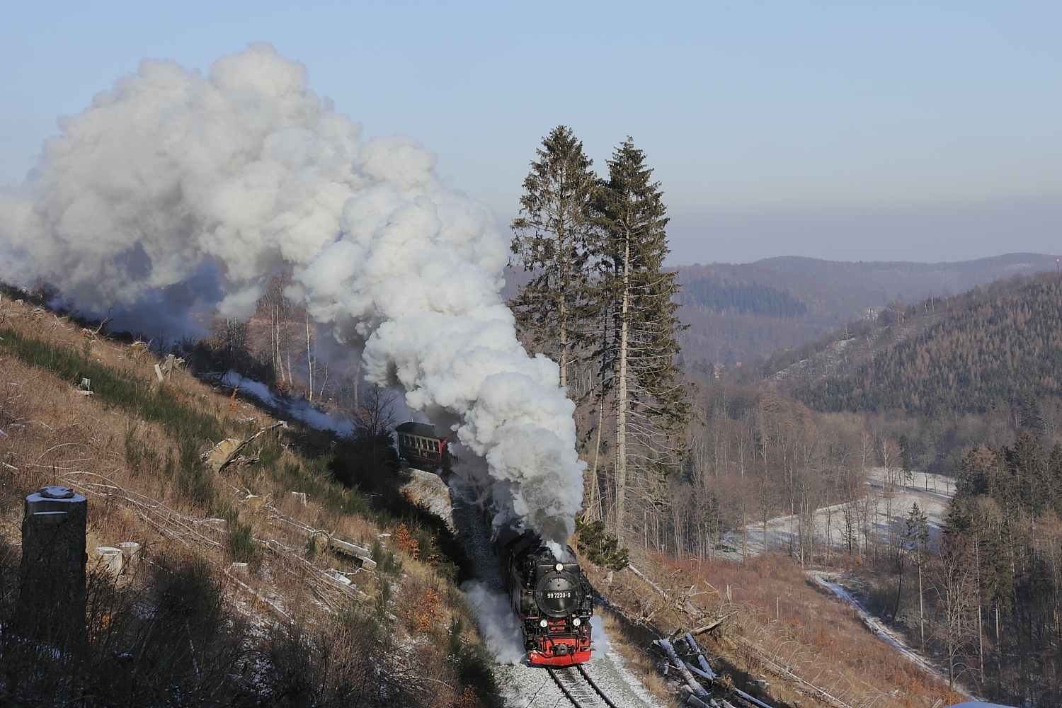 Die Harzbahn zwischen Steinerne Renne und 3 Annen