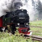 Die Harzer Schmalspurbahn auf dem Weg zum Brocken