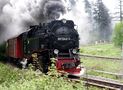 Die Harzer Schmalspurbahn auf dem Weg zum Brocken by Hermann A.