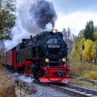 Die Harzer Schmalspurbahn bei Drei Annen Hohne